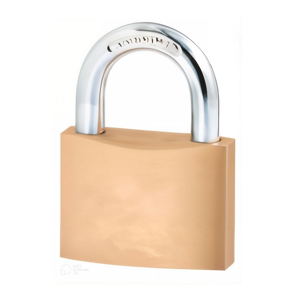 Candado con llave Plano Bronce 60mm Werken