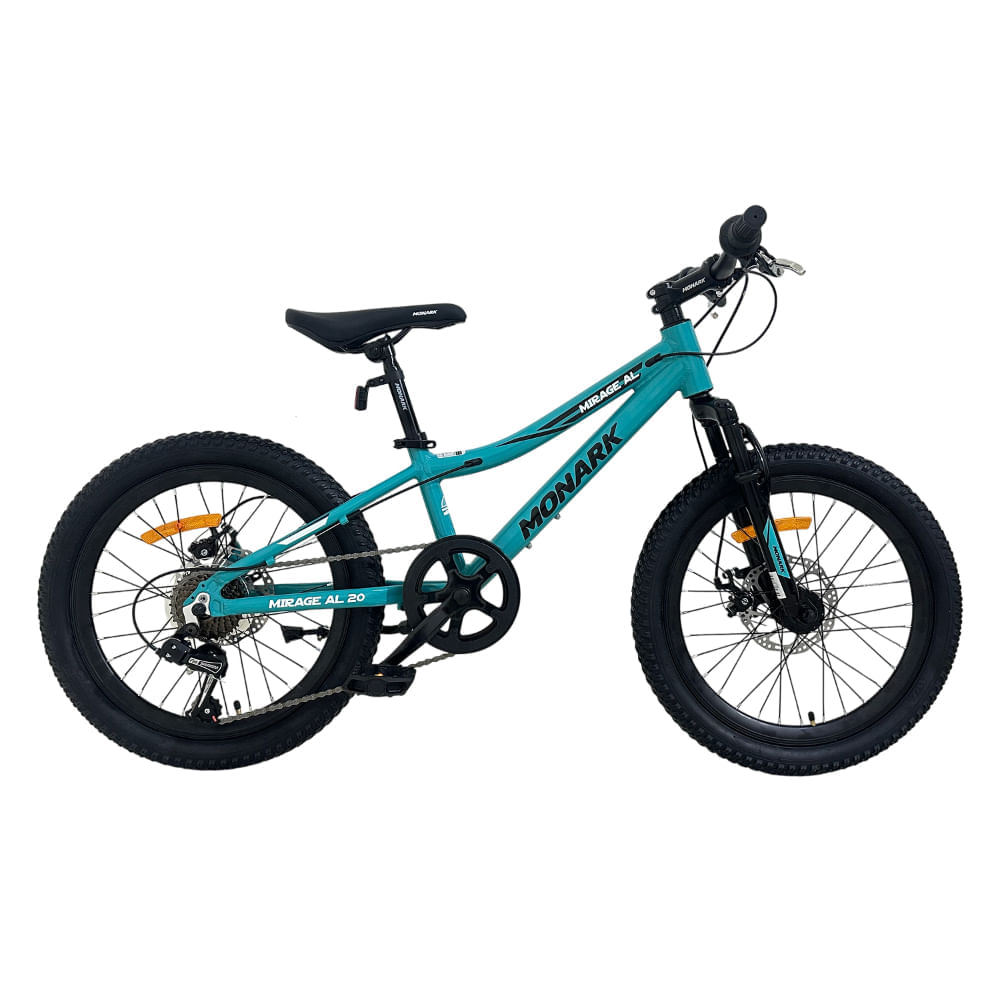 Bicicleta Monark Niño Mirage Al Aro 20 Verde Aqua Gris