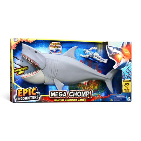 image-d9be168cb2d44aa18296398d9b7e658c