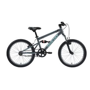 Bicicleta Goliat Maui Aro 20 Grafito