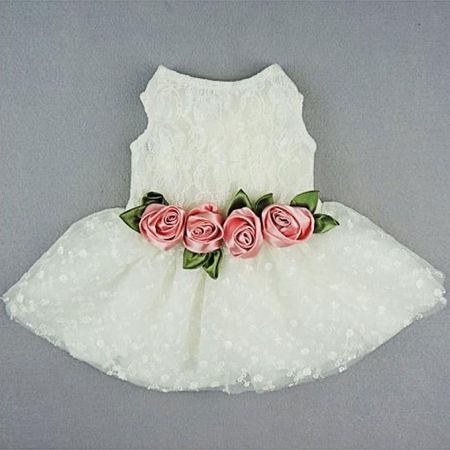 VESTIDO BLANCO DE ENCAJE PARA PERRO Y GATO - XS