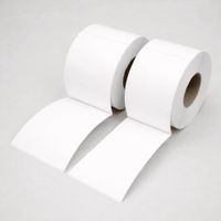 2 rollos de 500 etiquetas adhesivas térmico blanco TD 100x100mm