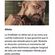 imageUrl_8