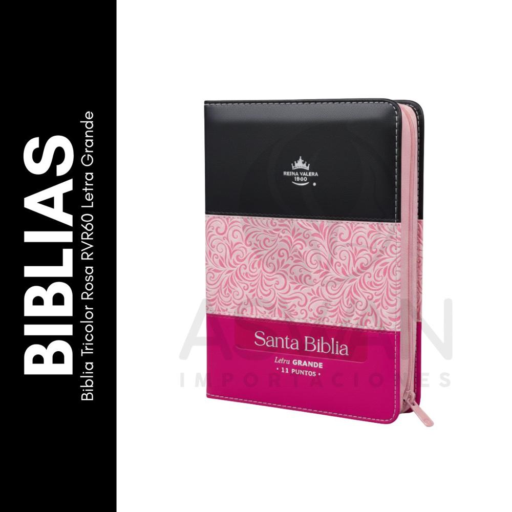 Biblia Tricolor Rosa RVR60 Letra Grande