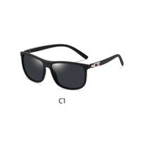 Lente de sol Polarizados Hombre Homeway C3013-C1 Negro