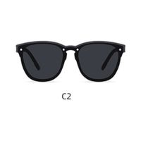 Lente de sol Polarizados Hombre Homeway C3004-C2 Plomo