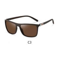 Lente de sol Polarizados Hombre Homeway C3033-C3 Marron