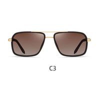 Lente de sol Polarizados Hombre Homeway C1767-C3 Marrón