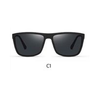 Lente de sol Polarizados Hombre Homeway C3043-C1 Negro