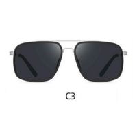 Lente de sol Polarizados Hombre Homeway C3803-C3 Negro Plateado