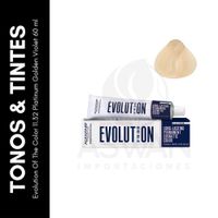 Evolution Of The Color 1132 Platinum Golden Violet 60 ml
