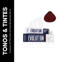 Evolution Of The Color 66 Dark Blonde Red 60 ml
