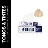Evolution Of The Color 1113 Platinum Ash Gold 60 ml