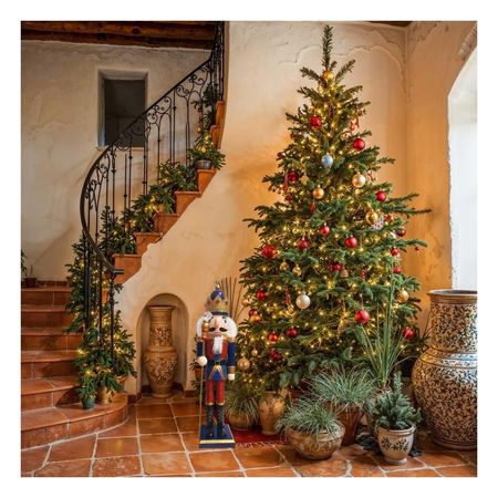 Cascanuez Color Llamativo en Multicolor Y+Ligas de Regalo