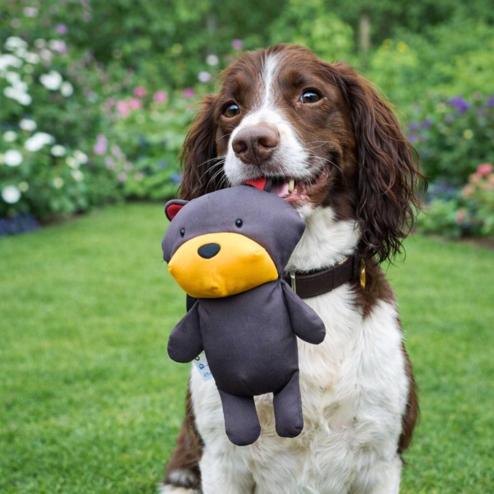 OsoDoggy Peluche firme para mascotas