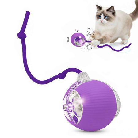 Pelota Interactiva  con Cuerda para Gatos y Perros Morado