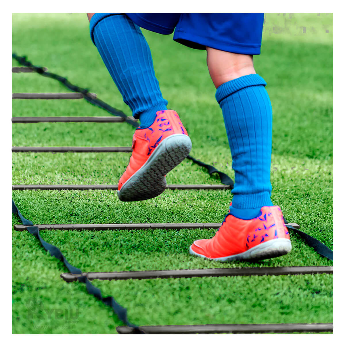 Escalera Duradera y Estable en Tono Negro Y+Agendita