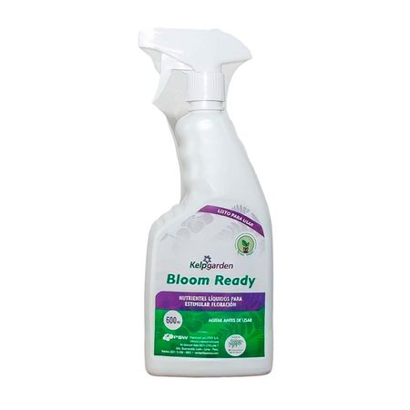 Bloom Ready 600ml Green Supply