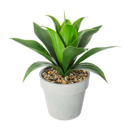 Aloe Vera en maceta 34cm Atmosphera