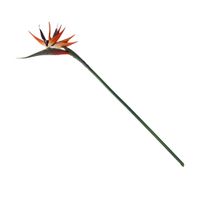 Planta Artificial Tallo Ave del Paraíso Atmosphera 83cm