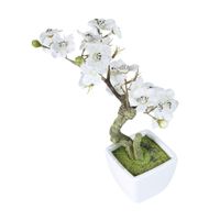 Cerezas en maceta 26cm Atmosphera