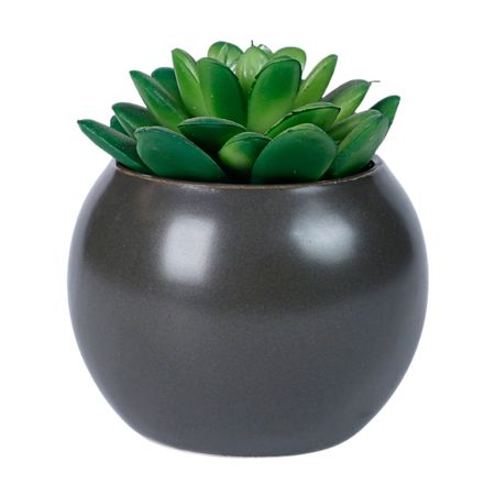 Planta Artificial Gorda en Maceta Atmosphera Multicolor de Poliéster 13cm
