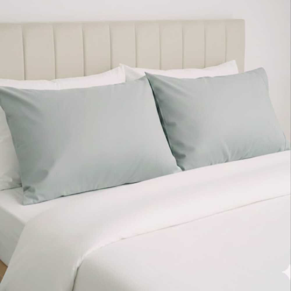 SET X 2 FUNDAS DE ALMOHADA ALGODON 220 HILOS 70 X 50 CM VERDE FREE HOME