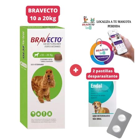 Combo Antipulga Bravecto 10-20kg más Gratis Geolocalizador y Endal Plus