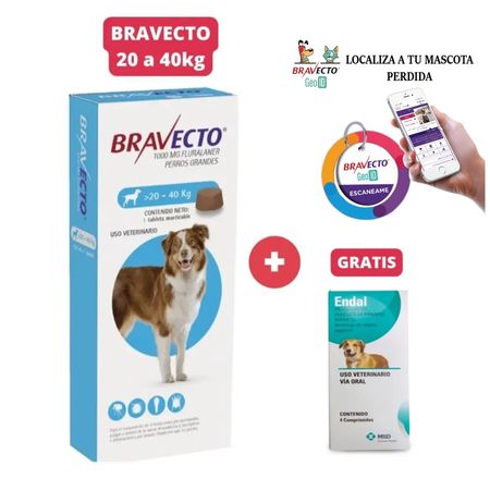 Combo Antipulga Bravecto 20-40kg más Gratis Geolocalizador y Endal Plus