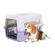 imageUrl_2