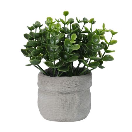 Bolsa Vegetal Verde Cemento 15cm Atmosphera