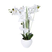 Orquídea Blanca en cerámica Atmosphera