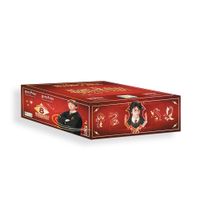 CARDS HARRY POTTER - PAQUETON DE 25 SOBRES