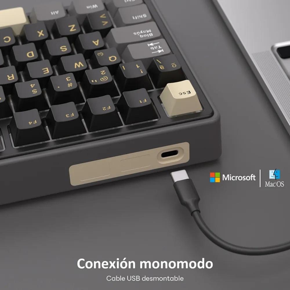 Teclado Royal Kludge R75 Wired 75% Phatom Switch Brown