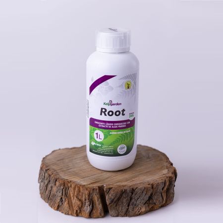 Image-1