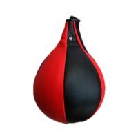 Pelota de Boxeo – Punching Ball