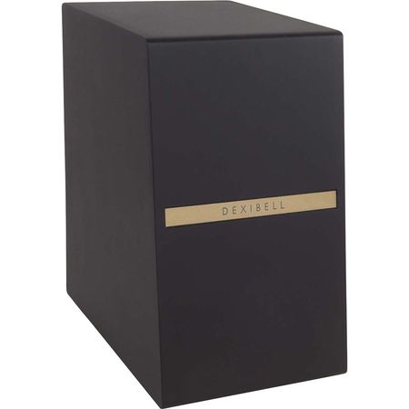 Dexibell DX SUBL3 Subwoofer Potenciado Doble de 6.5