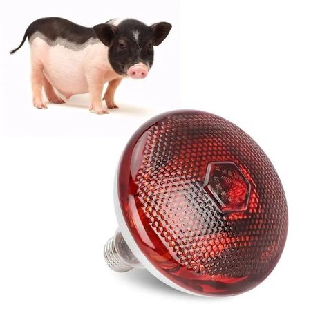 FOCO INFRARROJO CALEFACCIÓN PARA CERDOS PERROS POLLOS 100W