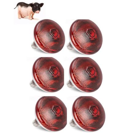 Foco Infrarrojo Calefacción Para Cerdos Perros Pollos 100w Pack X6