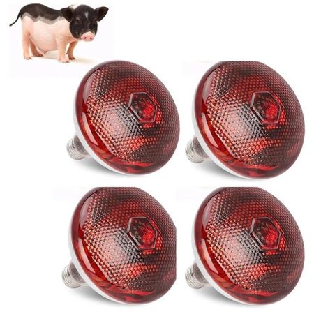 FOCO INFRARROJO CALEFACCIÓN PARA CERDOS PERROS POLLOS 250W PACK X4