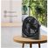 imageUrl_6