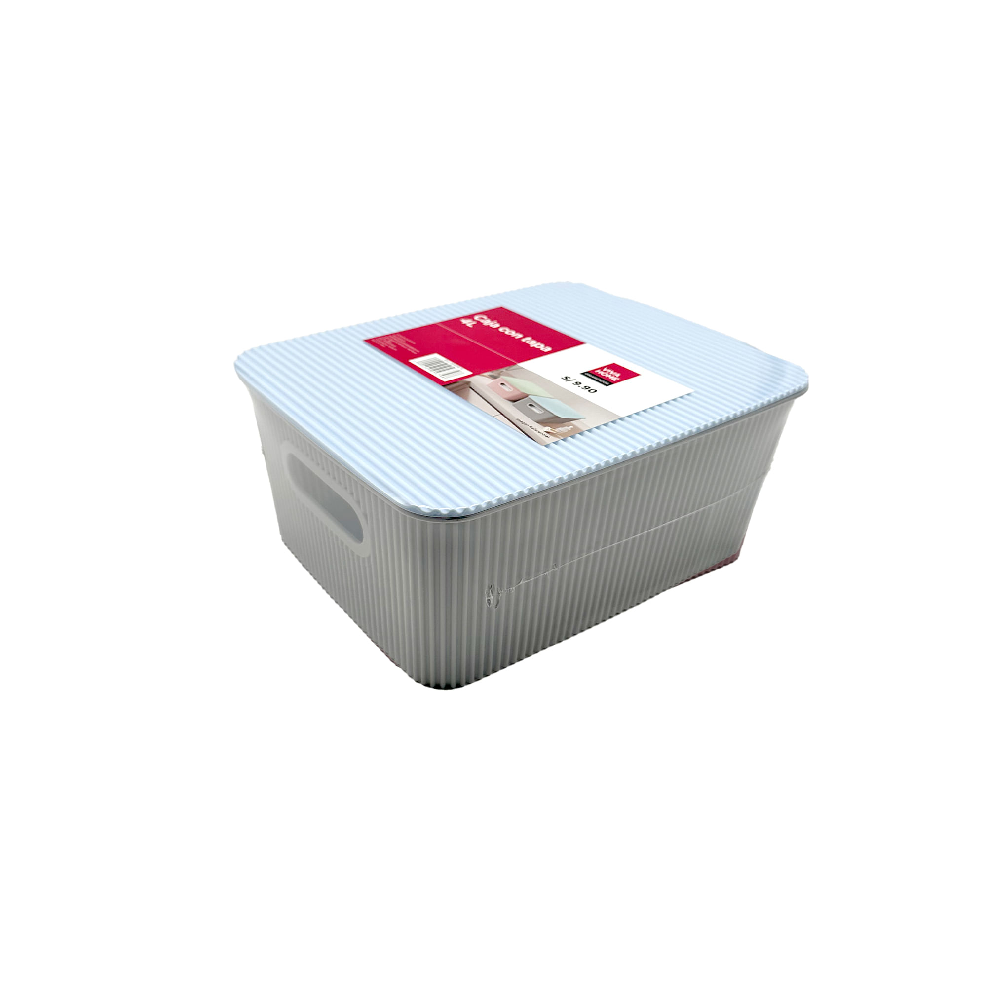 Caja VIVA HOME Con Tapa Surtido  4L