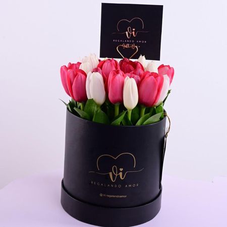 Box 25 tulipanes colores aleatorios