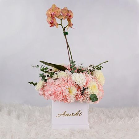 Box Anahi - San valentin