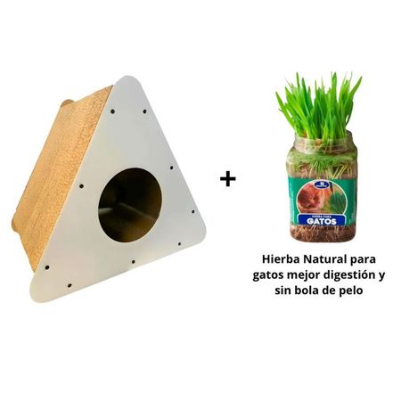 Pack Rascador Triángulo Blanco más Hierba Natural Para Gatos