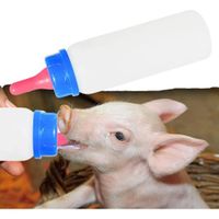 BOTELLA ALIMENTACION PARA ANIMALES 250ML AZUL
