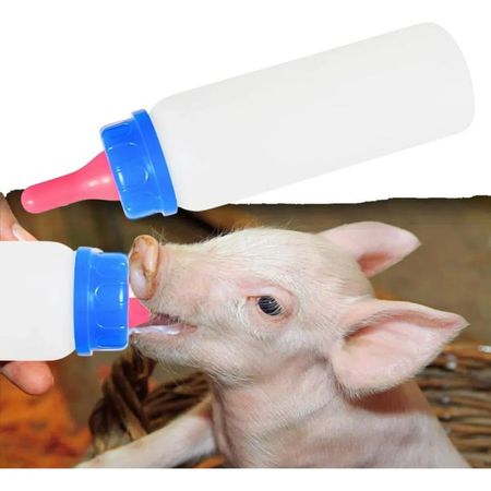 BOTELLA ALIMENTACION PARA ANIMALES 250ML AZUL
