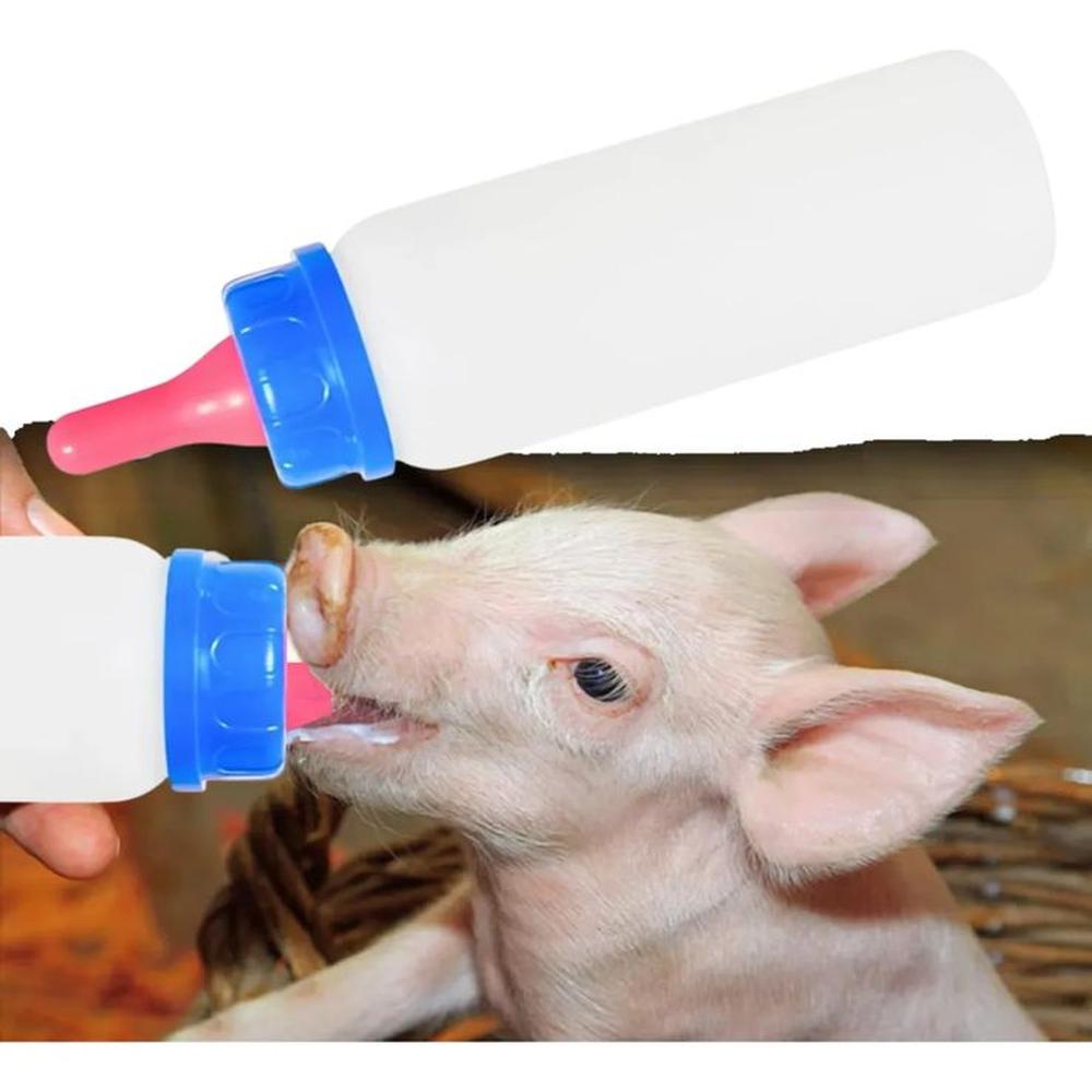 BOTELLA ALIMENTACION PARA ANIMALES 250ML AZUL