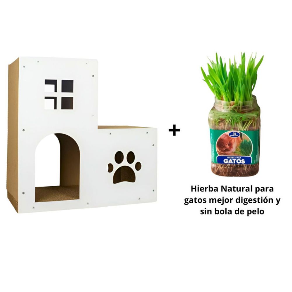 Pack Rascador polarita 2 pisos Blanco más Hierba Natural Para Gatos