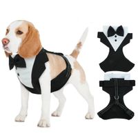 ARNÉS SMOKING GENERICO PERROS BODAS Y EVENTOS - TALLA M